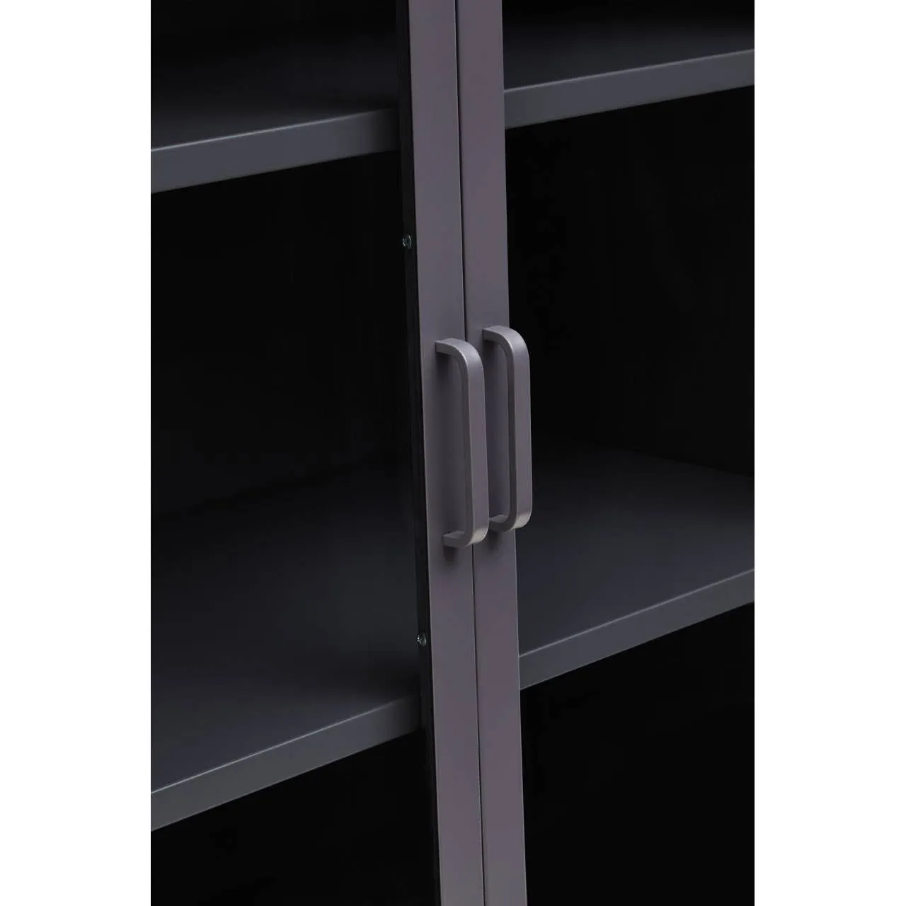 Acier Two Door Grey Cabinet