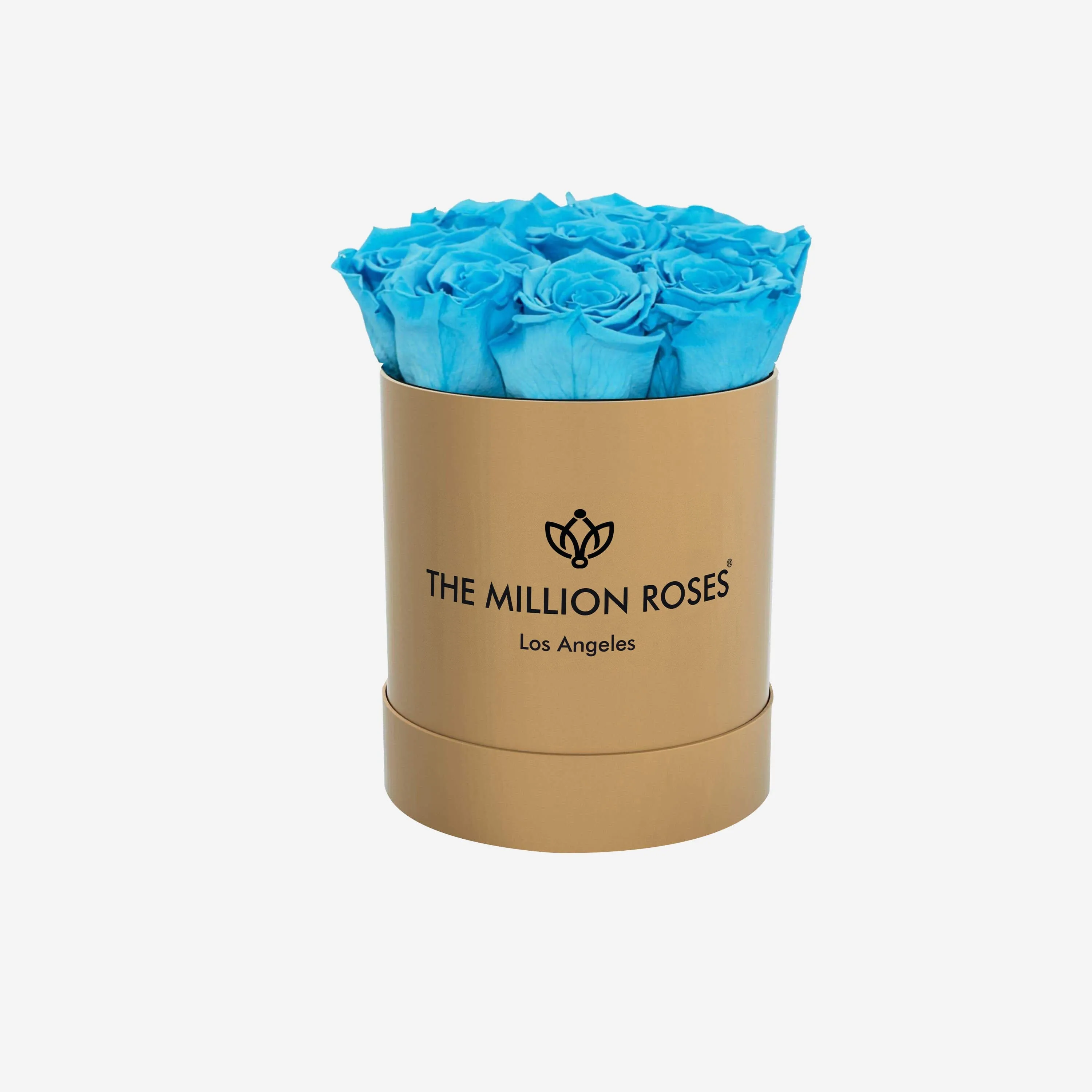 Basic Gold Box | Light Blue Roses