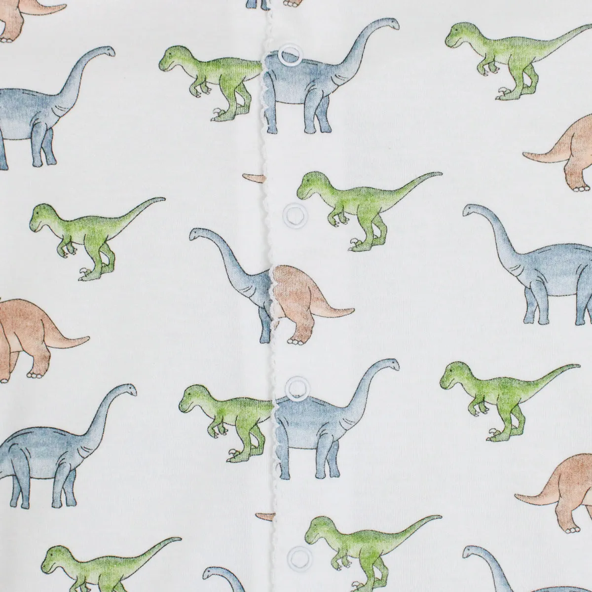 Big Dinos Printed converter | Baby Boy