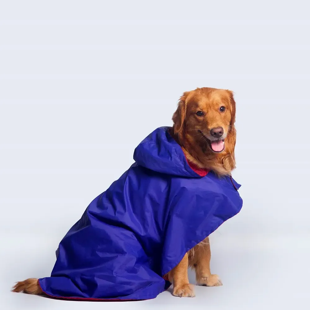 Cape Style Dog Raincoat (Blue)