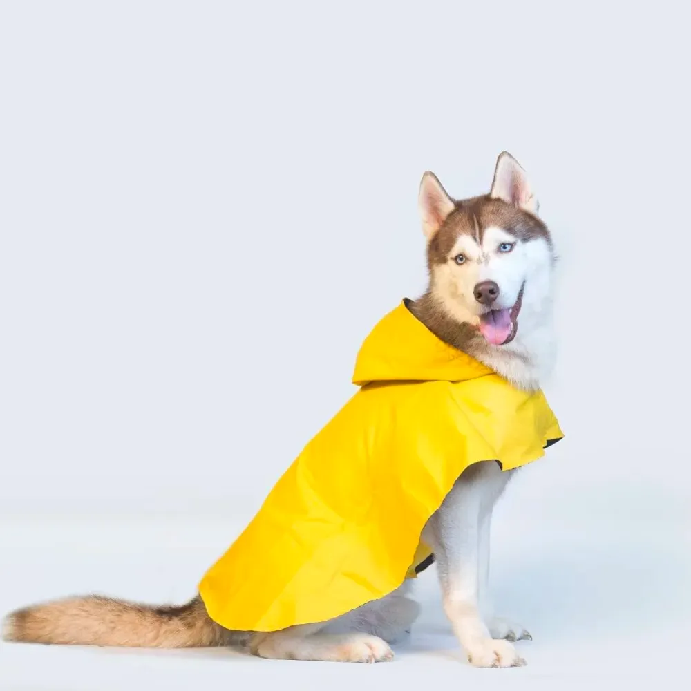 Cape Style Dog Raincoat (Blue)