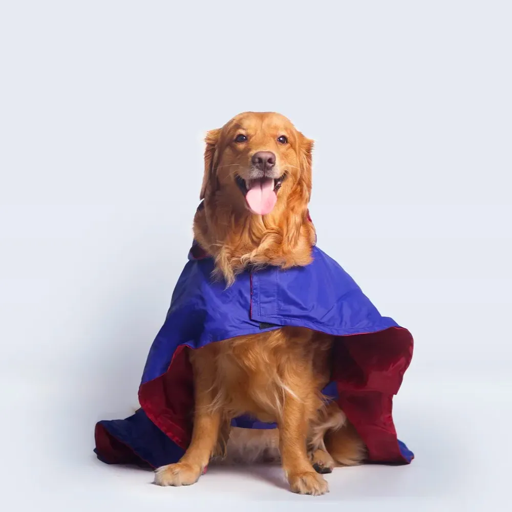 Cape Style Dog Raincoat (Blue)