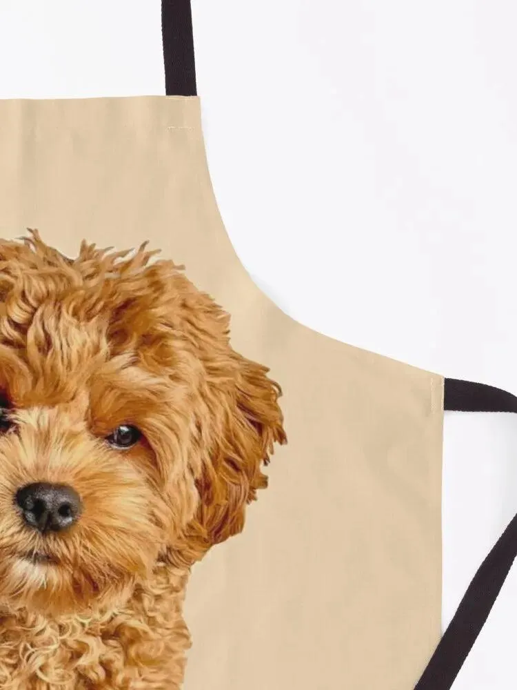 Cavoodle Themed Apron