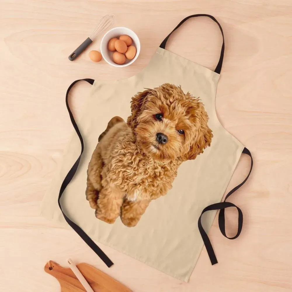 Cavoodle Themed Apron