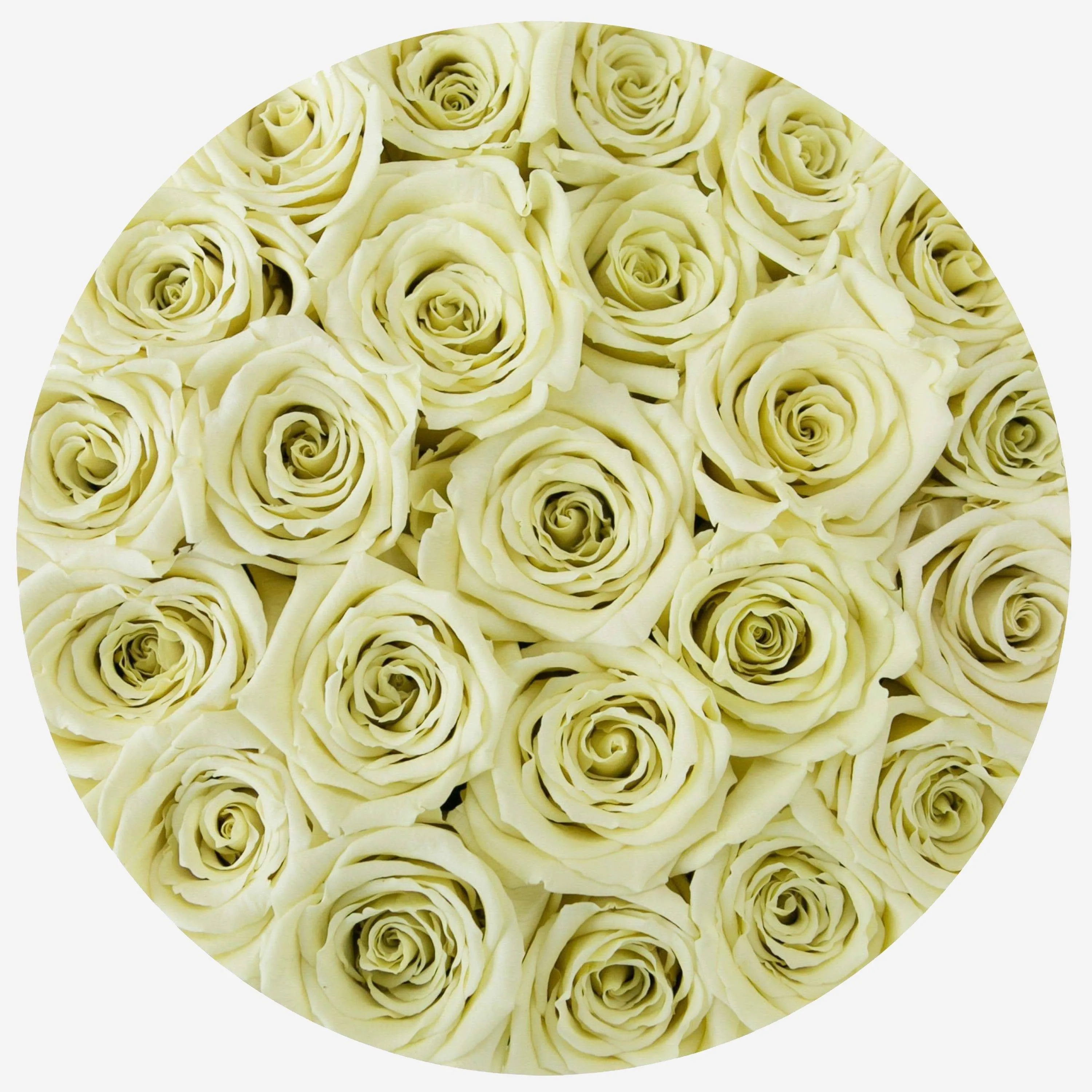 Classic Black Box | Ivory Roses