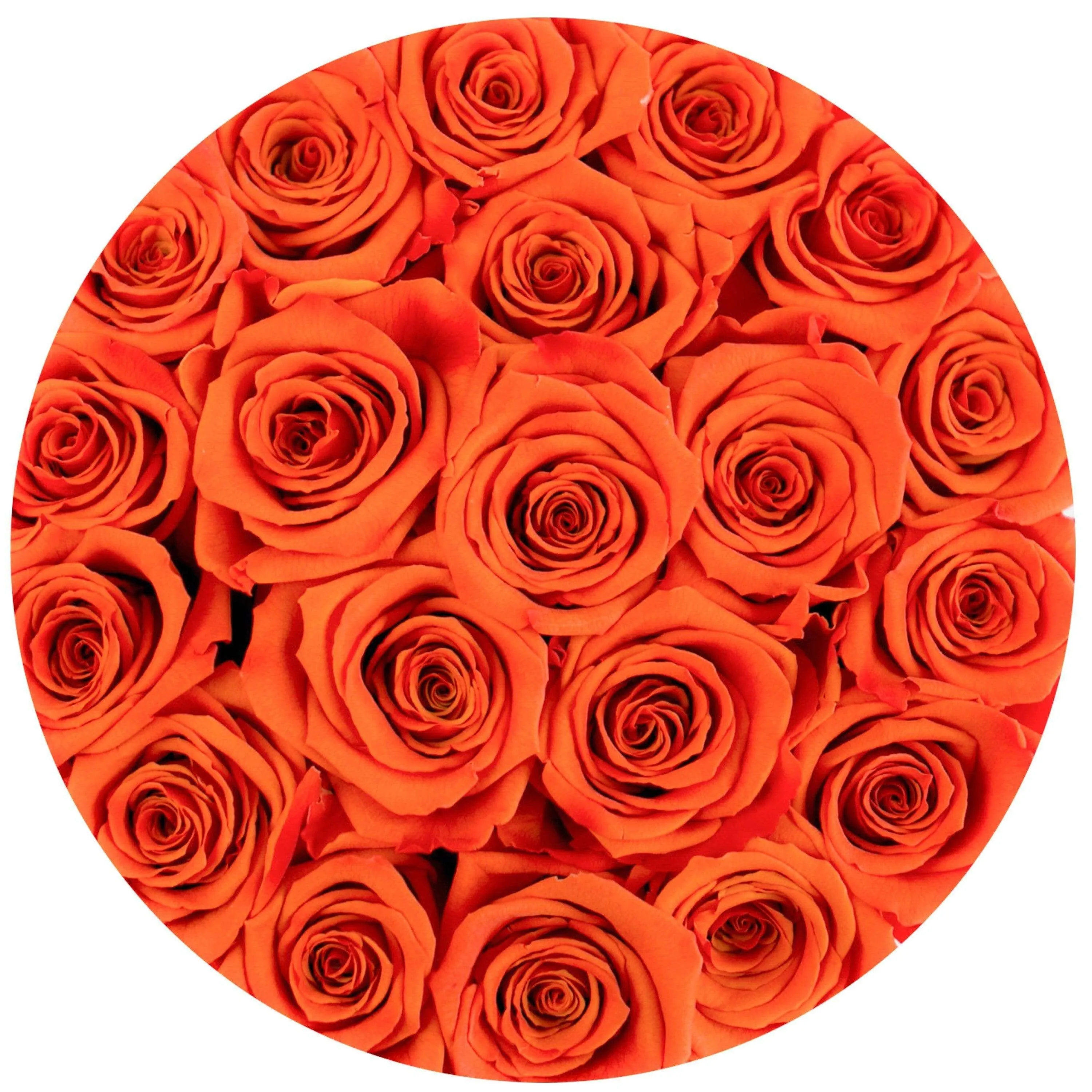 Classic Gold Box | Orange Roses