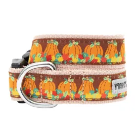 Collar | Pumpkin Patch