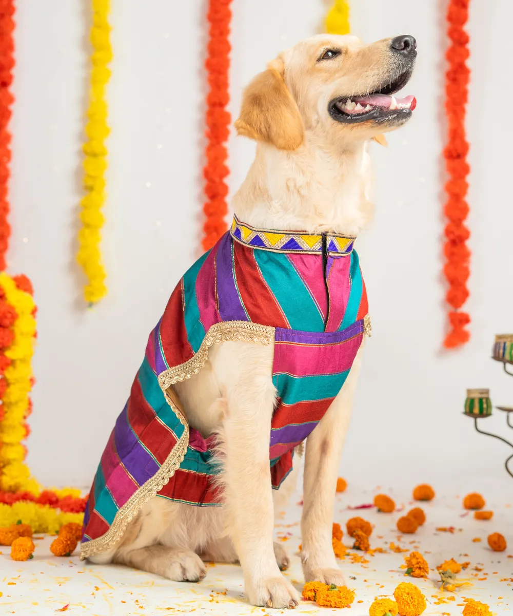 Dog Multi-coloured Kurta