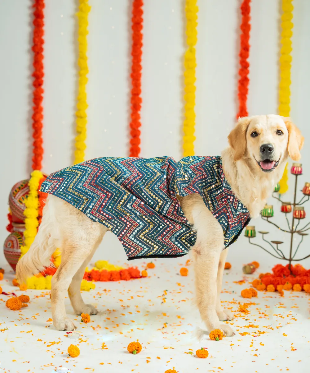 Dog Sherwani Blue