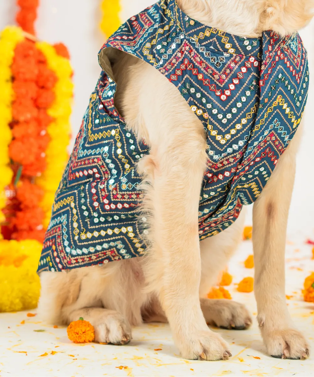 Dog Sherwani Blue