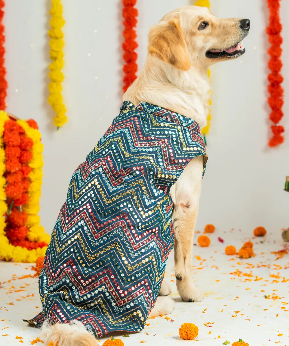 Dog Sherwani Blue