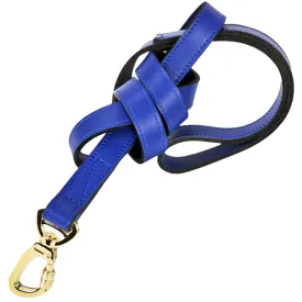 Hugs & Kisses Dog Leash in Cobalt Blue & Gold