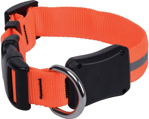 NiteIze NiteDawg LED Dog Collar