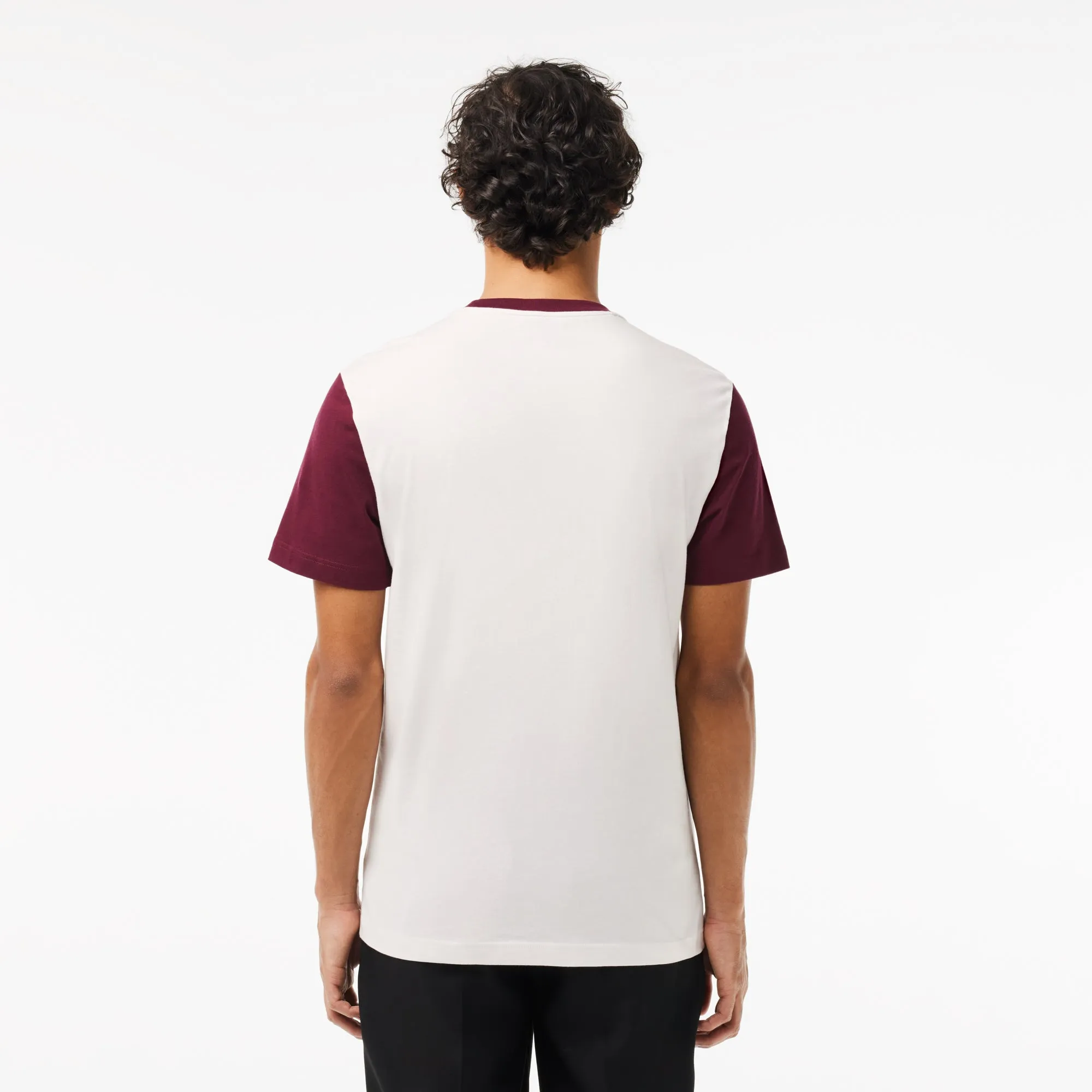 Regular Fit Colourblock Jersey T-shirt