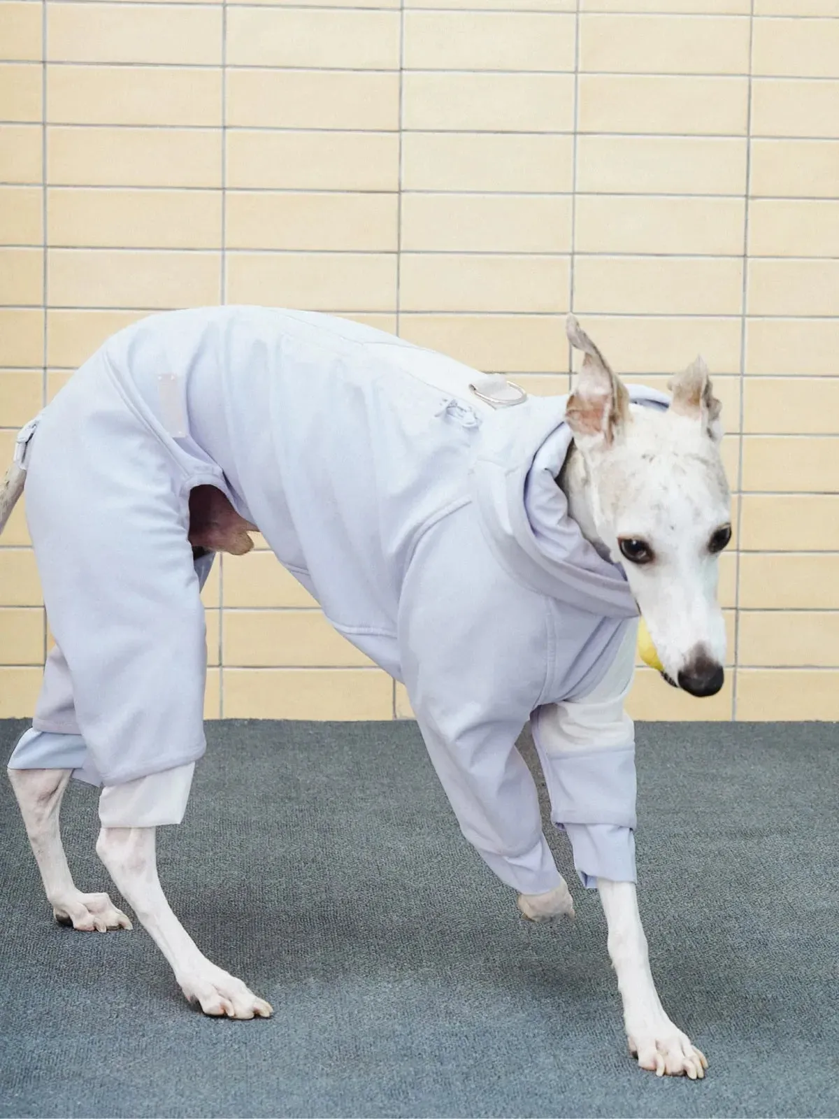 Waterproof Antifouling 4-Leg Fleece-lined Dog Jumpsuit