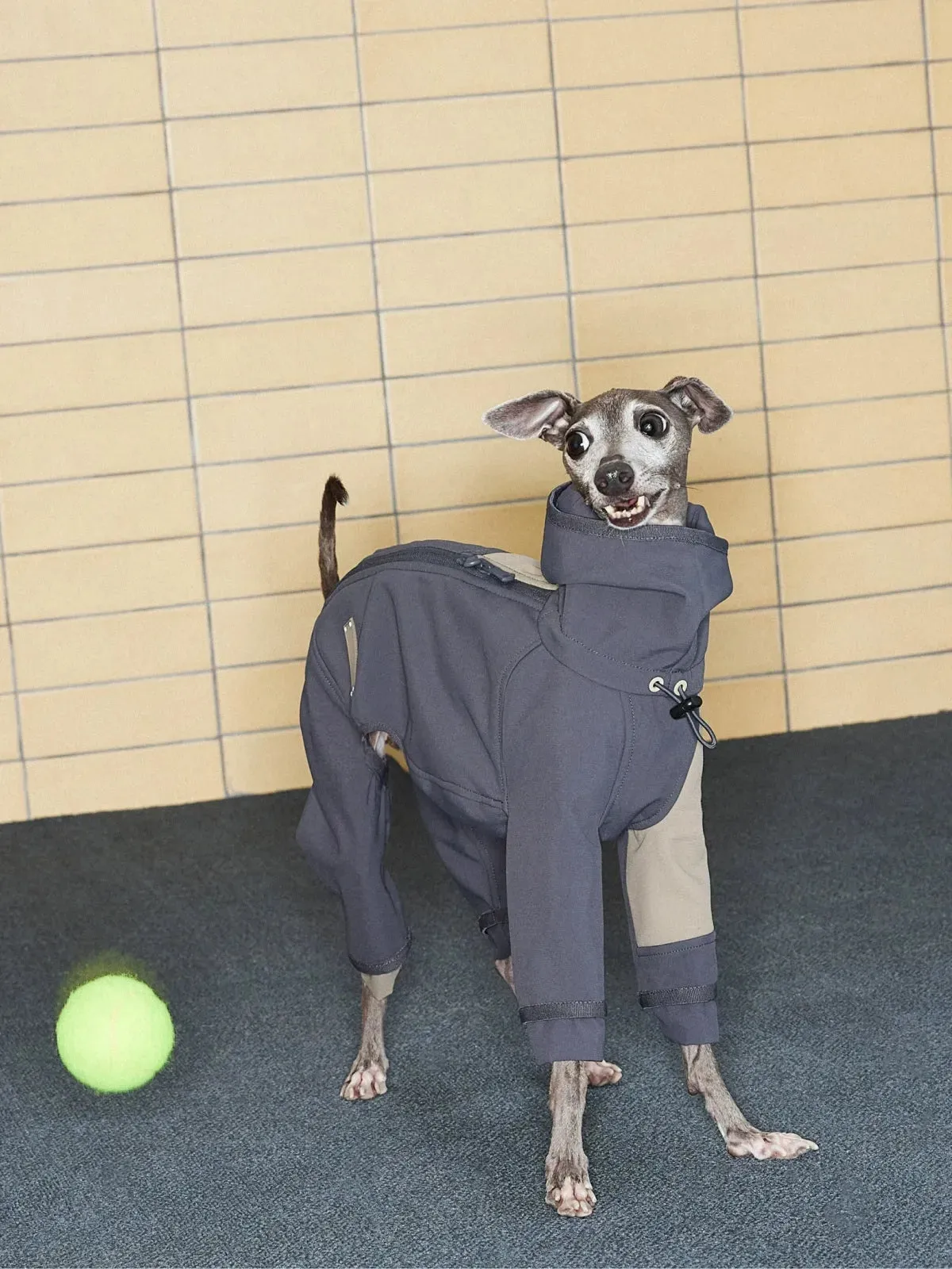 Waterproof Antifouling 4-Leg Fleece-lined Dog Jumpsuit