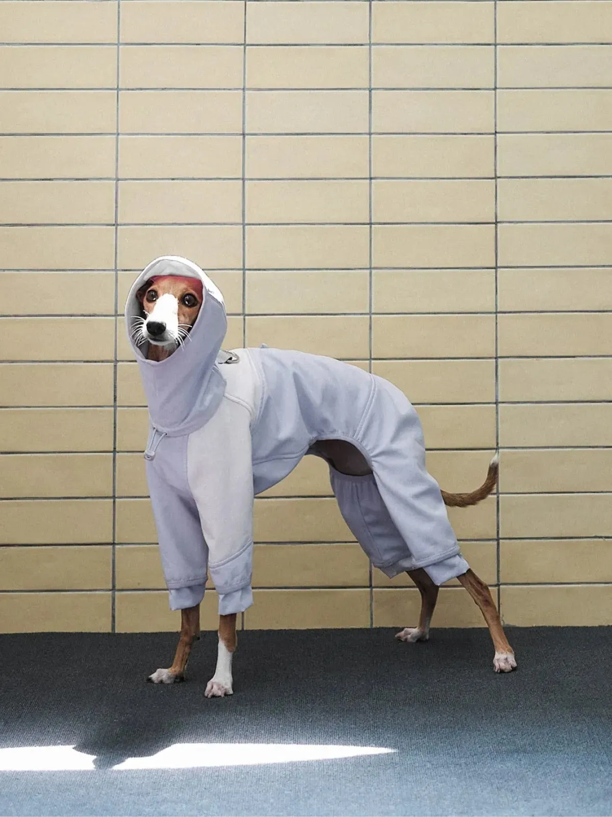 Waterproof Antifouling 4-Leg Fleece-lined Dog Jumpsuit