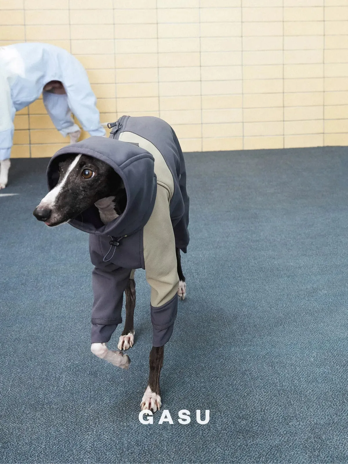 Waterproof Antifouling 4-Leg Fleece-lined Dog Jumpsuit