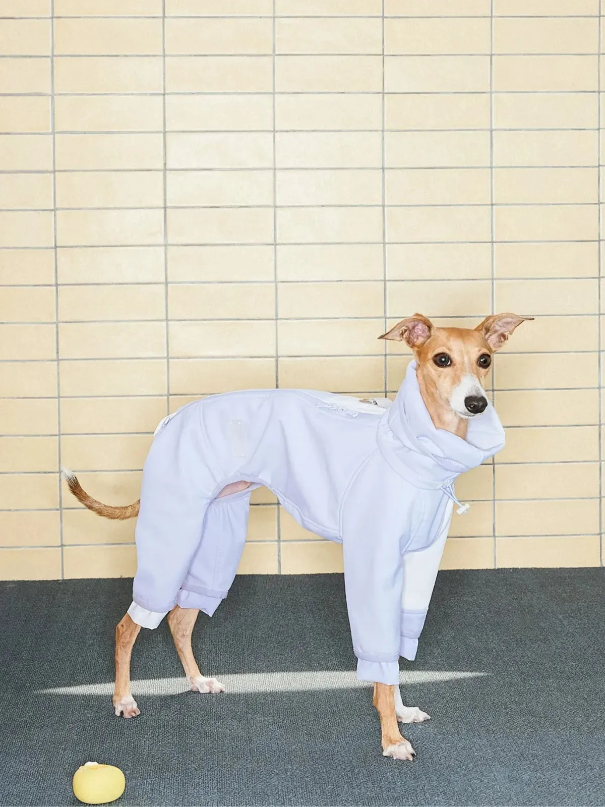 Waterproof Antifouling 4-Leg Fleece-lined Dog Jumpsuit