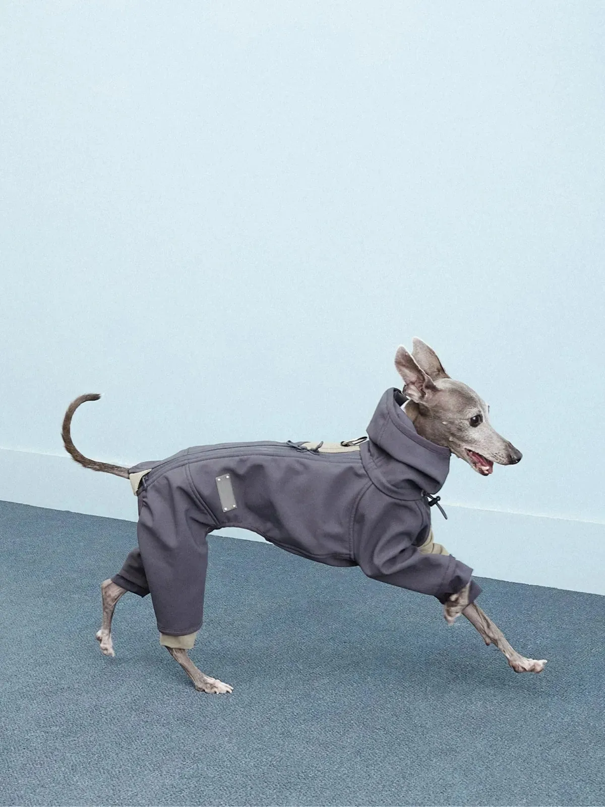 Waterproof Antifouling 4-Leg Fleece-lined Dog Jumpsuit